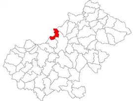 Location in Satu Mare County