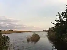 Landing Creek flowing through a salt marsh