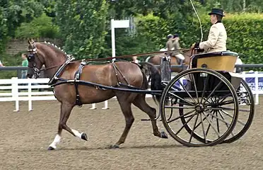 Modern cart (England, 2009)