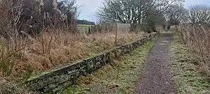 Looking eastwards along the footpath at the remains of the stone platform. There is thick undergrowth over most of the platform, and a wooden fence to the back. Dronley Wood can be seen in the distance behind the fence.