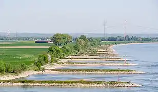 Groynes on the Rhine, Germany