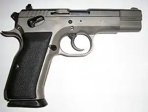 Tanfoglio T 95 Combat/EAA Witness 10mm Auto with Wonder finish.