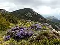 Montsec de Rúbies, foothills of the Pyrenees