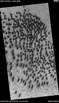 Dunes on a crater floor, as seen by HiRISE under HiWish program.  Most of these are barchans.  Box shows location of next image.  Location is the Eridania quadrangle.