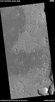 Wide view of ridge network, as seen by HiRISE under HiWish program Location is Arcadia quadrangle.