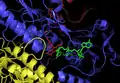 Structure of E. coli ThxR with FAD and NADPH prosthetic groups labeled