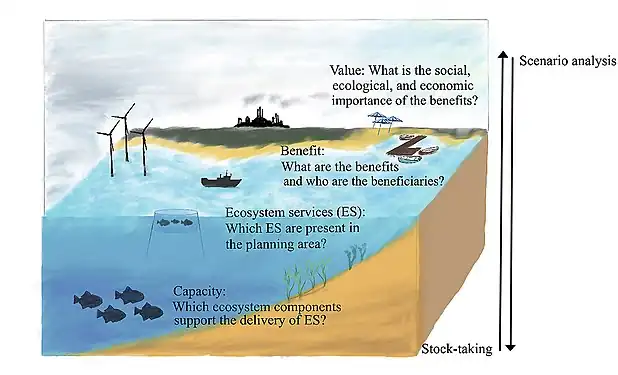 The ecosystem cascade to structure the stock-taking and scenario analysis steps in the marine spatial planning process.