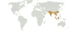 Extent of the Indomalayan biogeographical realm