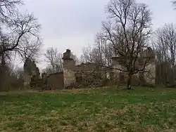 Ruins of Ehmja manor