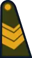 Sargento(Argentine Army)