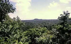 A view across dense jungle with trees framing the left and right sides. The forest extends to the horizon, where a jungle-covered hill breaks the plain. Broken clouds are scattered across a pale sky.