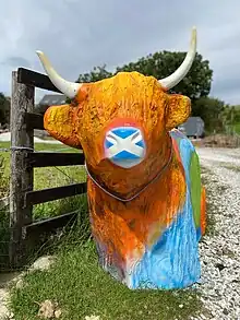 Jazz Buchanan's Highland Cow