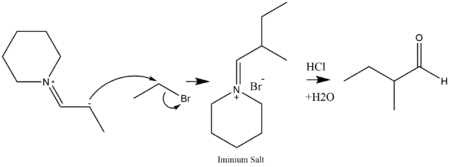 Alkylation of an enamine and a dehydration to form a ketone.