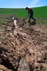 Severe soil erosion in a wheat field near Washington State University