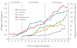 Estrogen, progesterone, and 17α-hydroxyprogesterone (17α-OHP) levels during pregnancy in women. The dashed vertical lines separate the trimesters. Determinations were via radioimmunoassay.