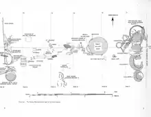 Black and white drawing showing the position of the objects as found in the burial chamber. Whereas fragments of objects such as the shield are individually marked, the helmet is noted only by a circle with the words "nucleus of helmet remains."