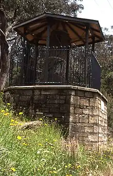 The Explorers Tree, Katoomba