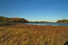 Wetlands on the isle of Mattön