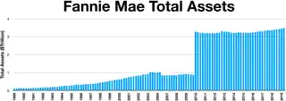 Fannie Mae total assets