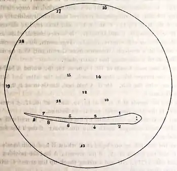 Diagram of experimental setup showing fish in tank