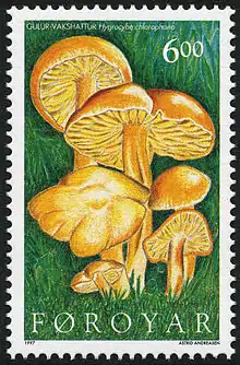 FR 304: Gulur vakshattur (Hygrocybe chlorophana)