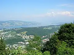 View from Felsenegg to the eastern part of Lake Zürich