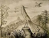 Drawing of a Fum Hoam (fenghuang) by a Dutch man, circa 1664.