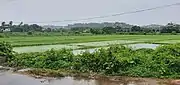 Fields of Fatorda, located near SPGDA Market