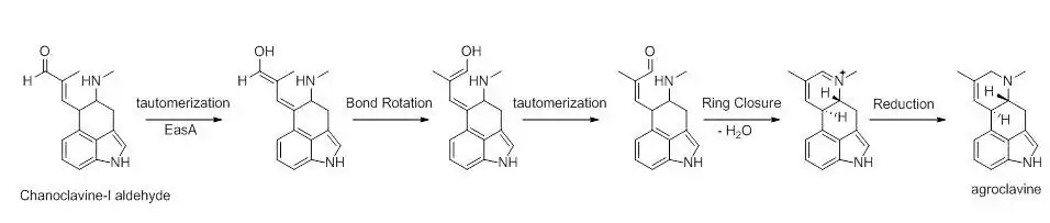 Fig3-detail look at mechanism in biosynthesis of ergocryptine