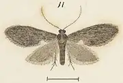 Illustration of male.