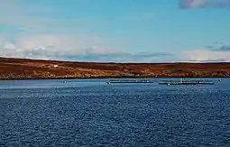 A fish farm in Gutter Sound, at the western side of Fara