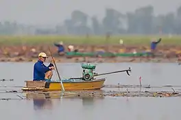 Fishing, Bueng Boraphet