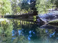 Arno river in Casentino