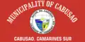 Flag of Cabusao