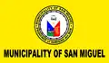 Flag of San Miguel