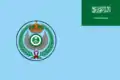 Flag of the Royal Saudi Air Force