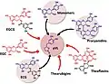 Flavan-3-ol precursors of the microbial metabolite 5-(3′/4′-dihydroxyphenyl)-γ-valerolactone (gVL). Only compounds with intact (epi)catechin moiety result in the formation of γVL by the intestinal microbiome. ECG, (−)-epicatechin-3-O-gallate; EGCG, Epigallocatechin gallate; EGC, Epigallocatechin.