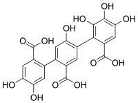 Chemical structure of flavogallonic acid