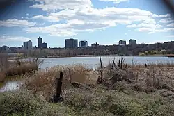 Looking south at Willow Lake.