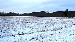 Fort Blount-Williamsburg Site