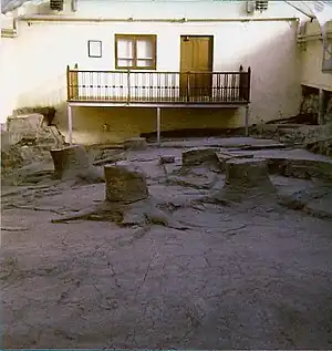 Lepidodendron fossil stumps from Fossil Grove, Glasgow, Scotland