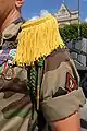 Yellow epaulettes of the French Marines