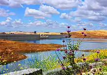 Friant Dam & Milerton Lake