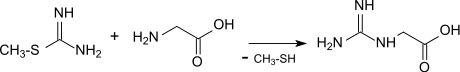 GAA via S-Meisothiourea