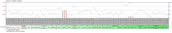 Tissue expression profile of C6orf58