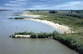 Groynes in the Waal, part of the Rhine in the Netherlands