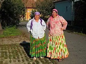 Gábor Hungarian speaking Gypsies from Transylvania