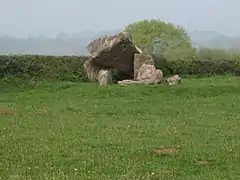 Three upright stones supporting a tilting large flat stone, with other stones nearby. All on a grassy mound next to a field hedge.