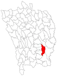 Location in Vaslui County