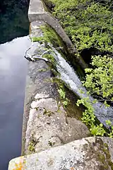 Exit of the Ruisseau de Tavulaghiu